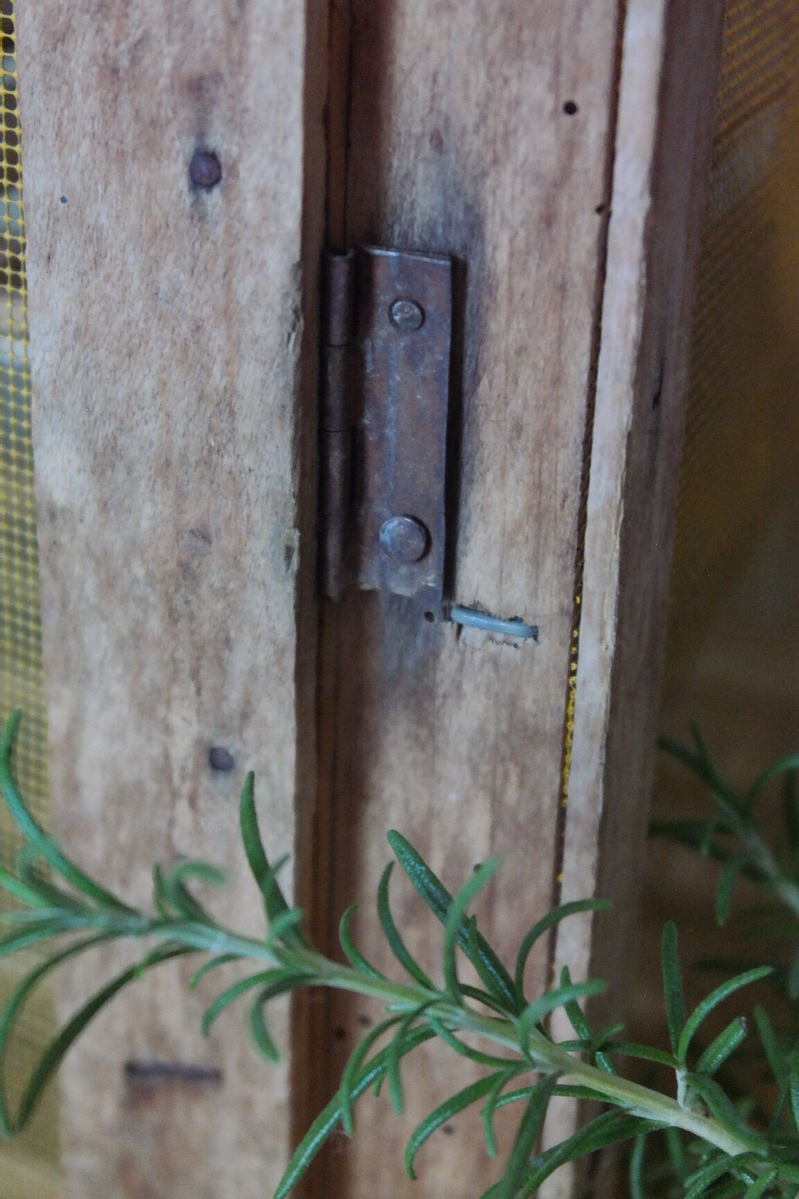Garde manger campagnard ancien