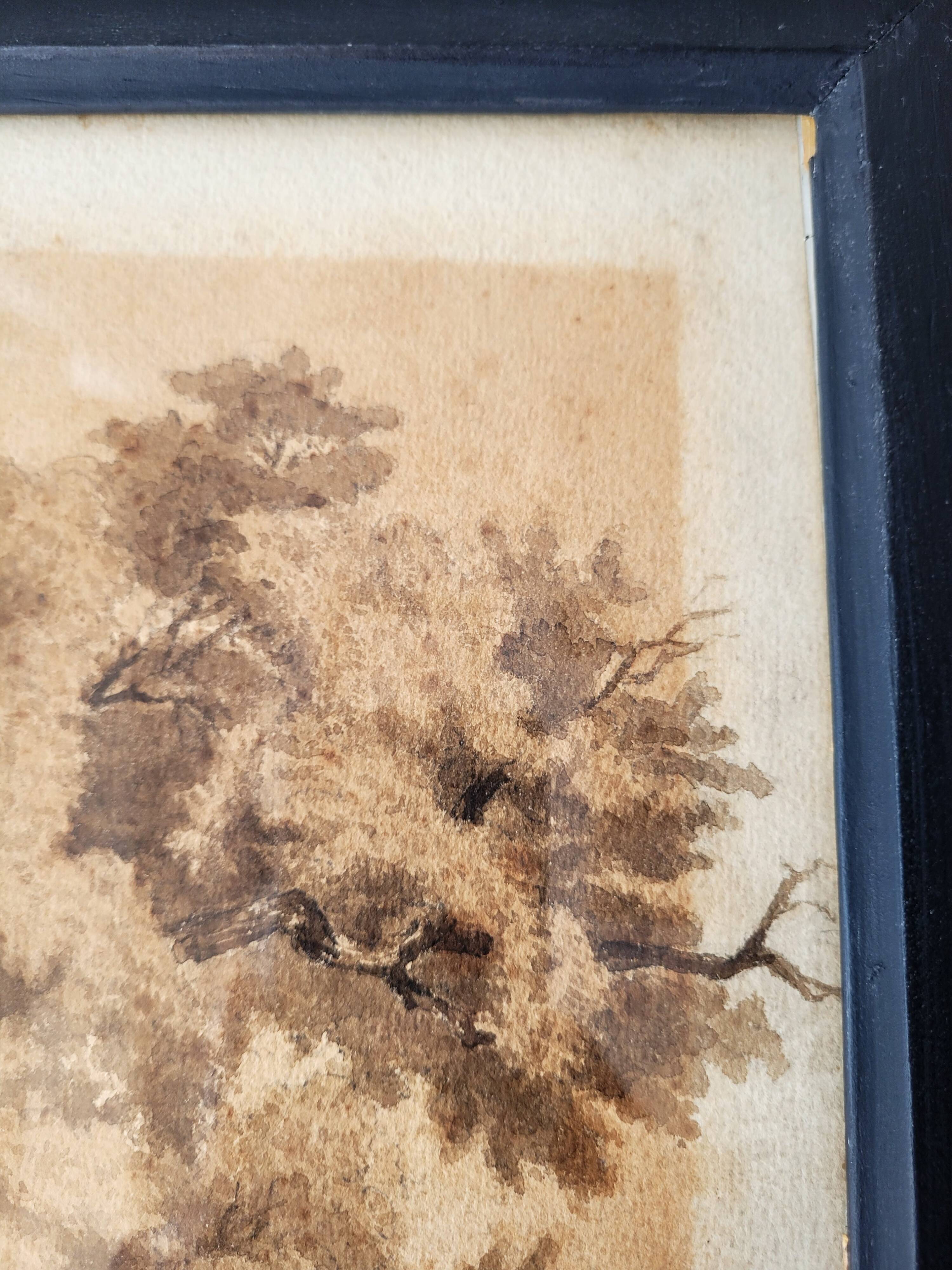 Forest landscape painting