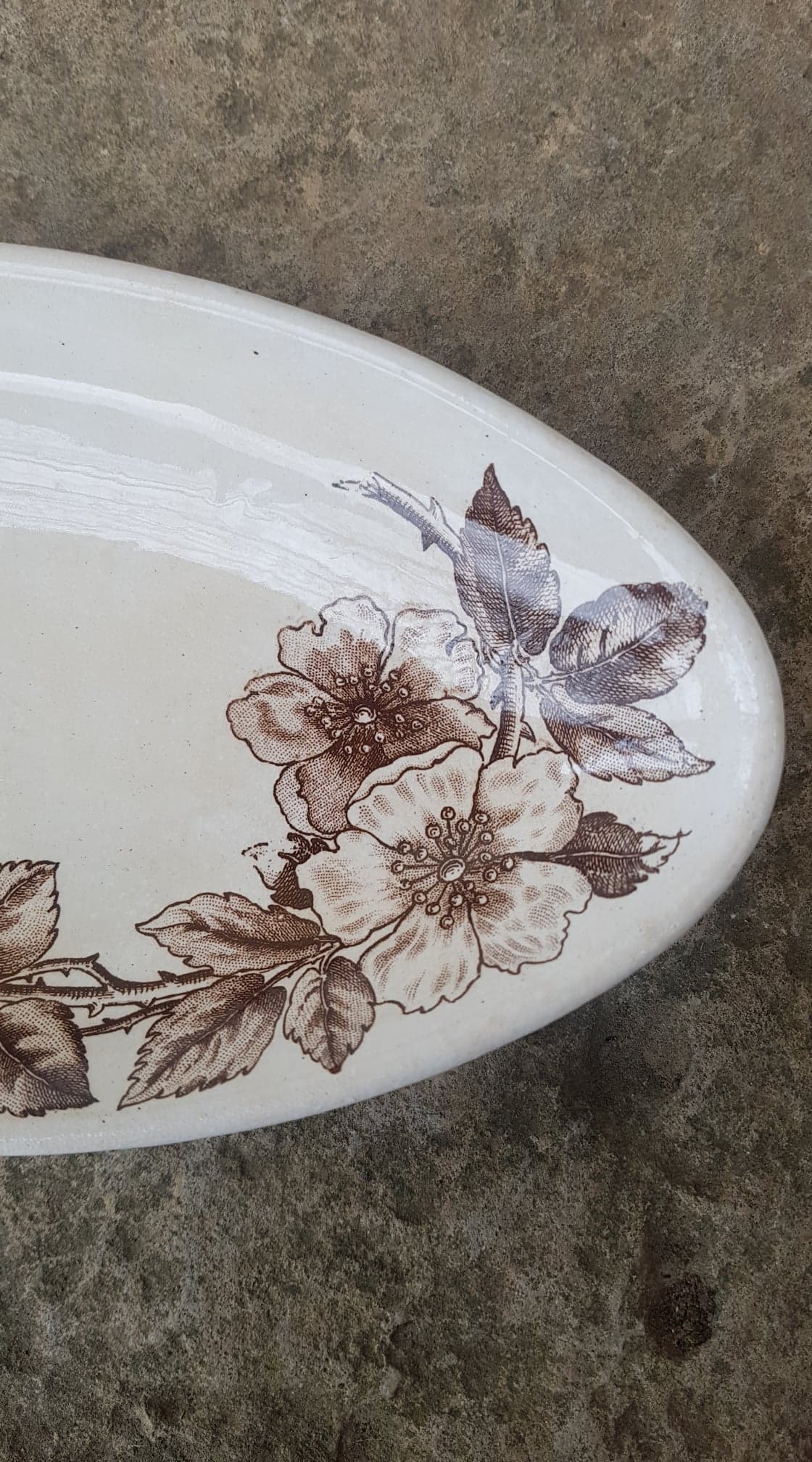 Delight Creil and Montereau model Rosa