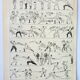 Engraving • Fencing, fighting, sport, sword • Original and vintage poster from 1898