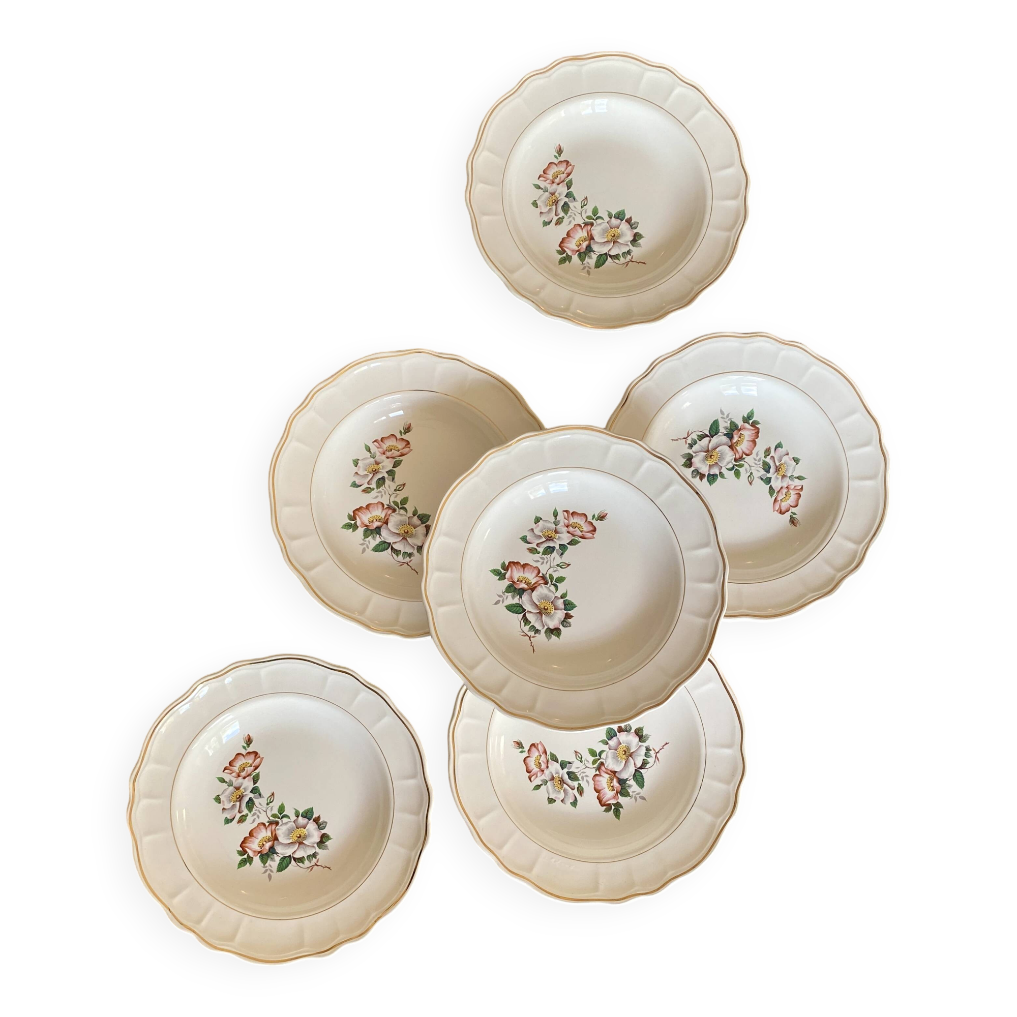 Set of 6 vintage Salins soup plates