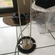 Lampadaire 1980
