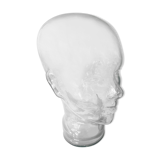 Marotte head to glass hat
