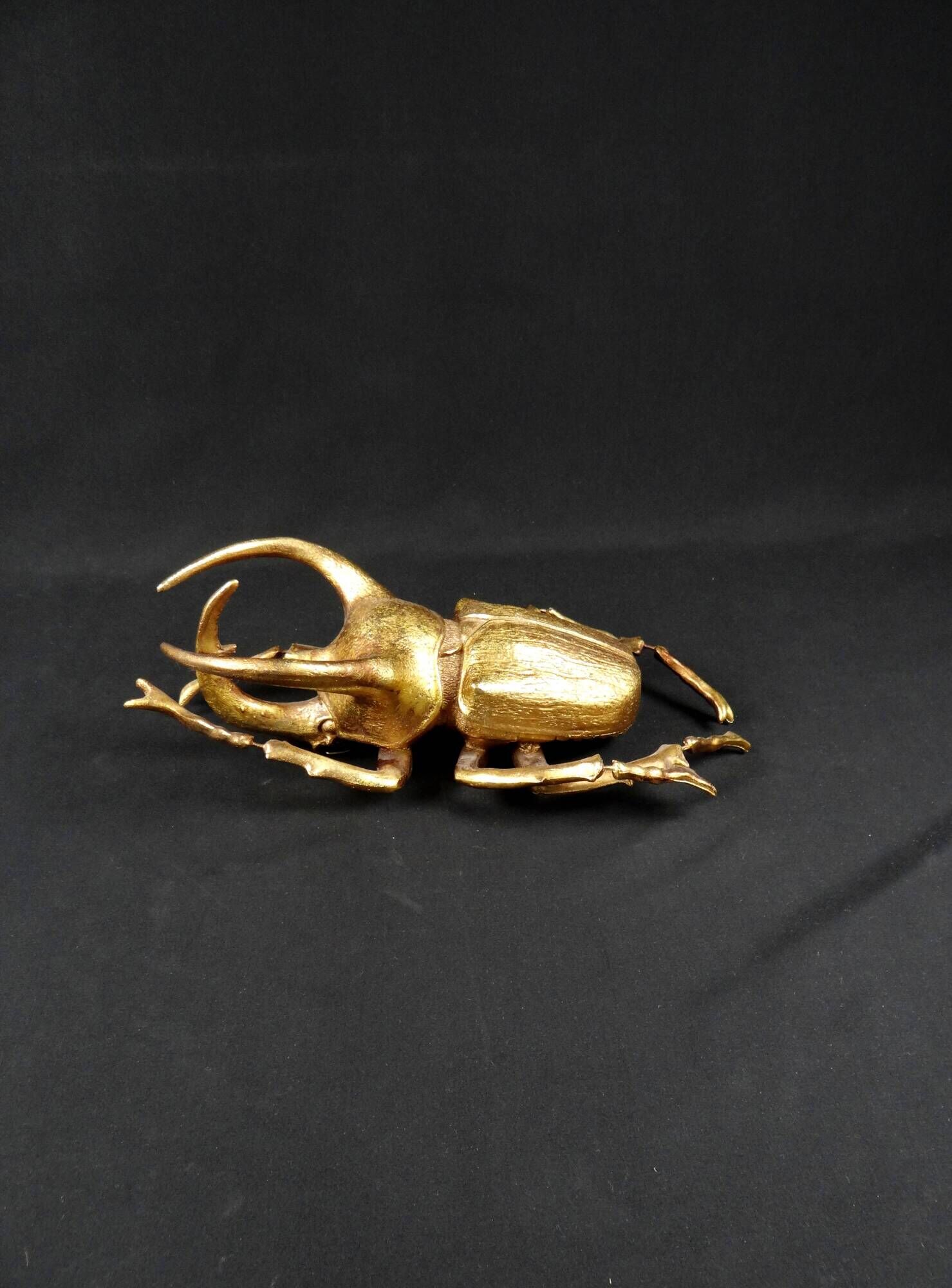 Contemporary style golden scarab wall sculpture in resin and metal