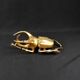 Contemporary style golden scarab wall sculpture in resin and metal