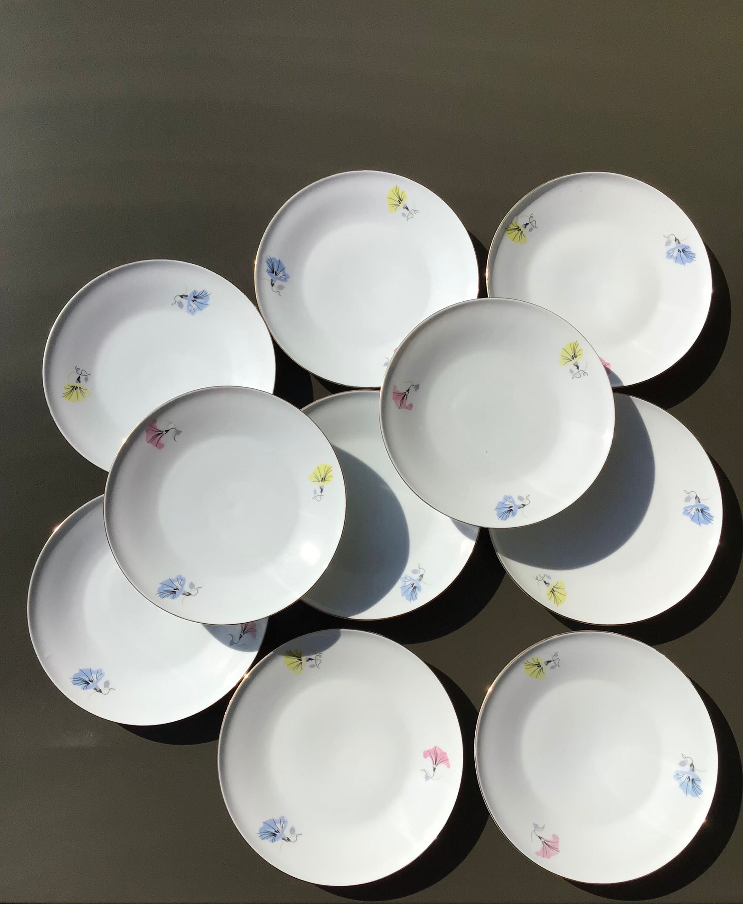 10 plates dessert porcelain decoration flowers 50's melitta