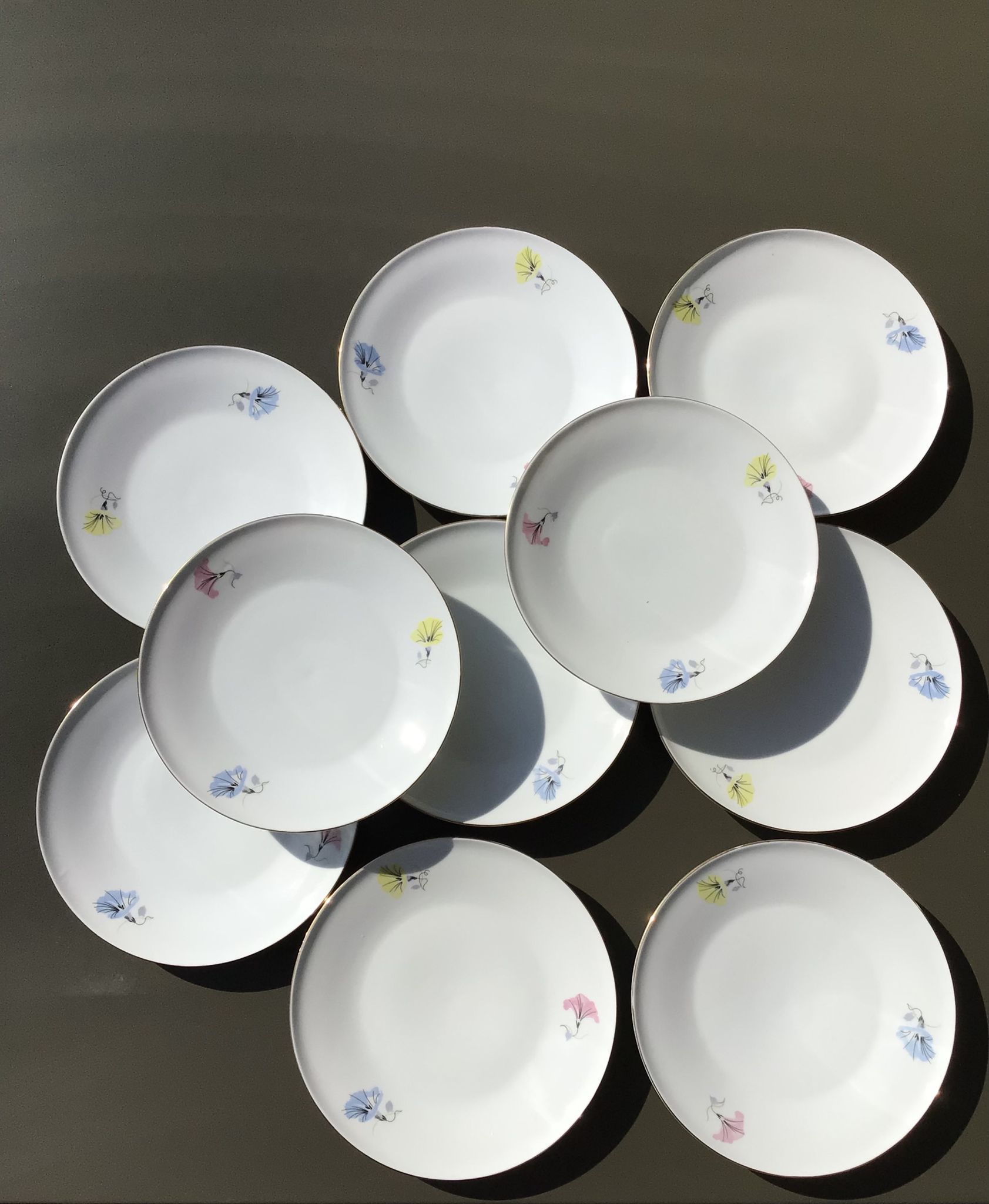 10 plates dessert porcelain decoration flowers 50's melitta