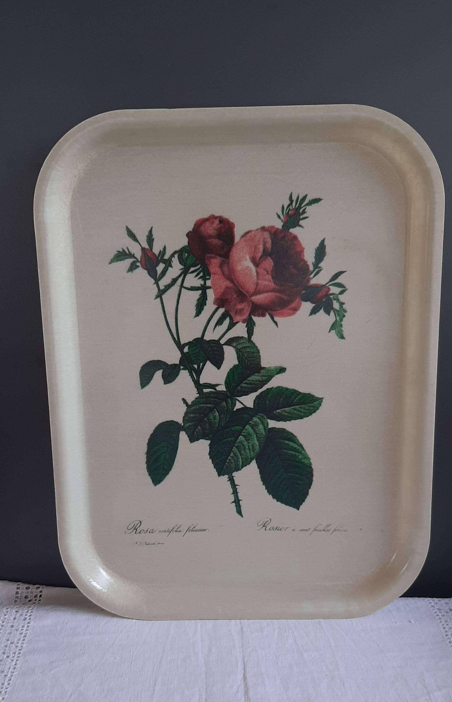 Plateau en fibre de verre