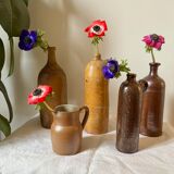 Pitcher in Berry sandstone