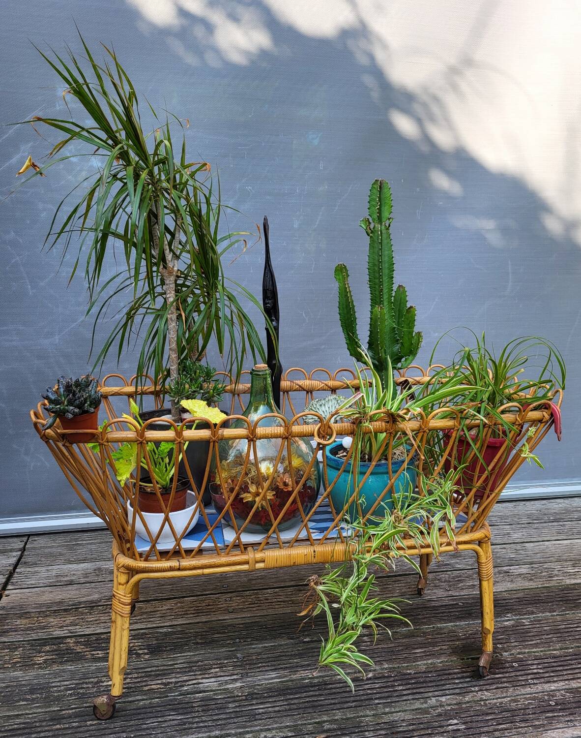 Nursery basket for green plants