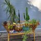 Nursery basket for green plants