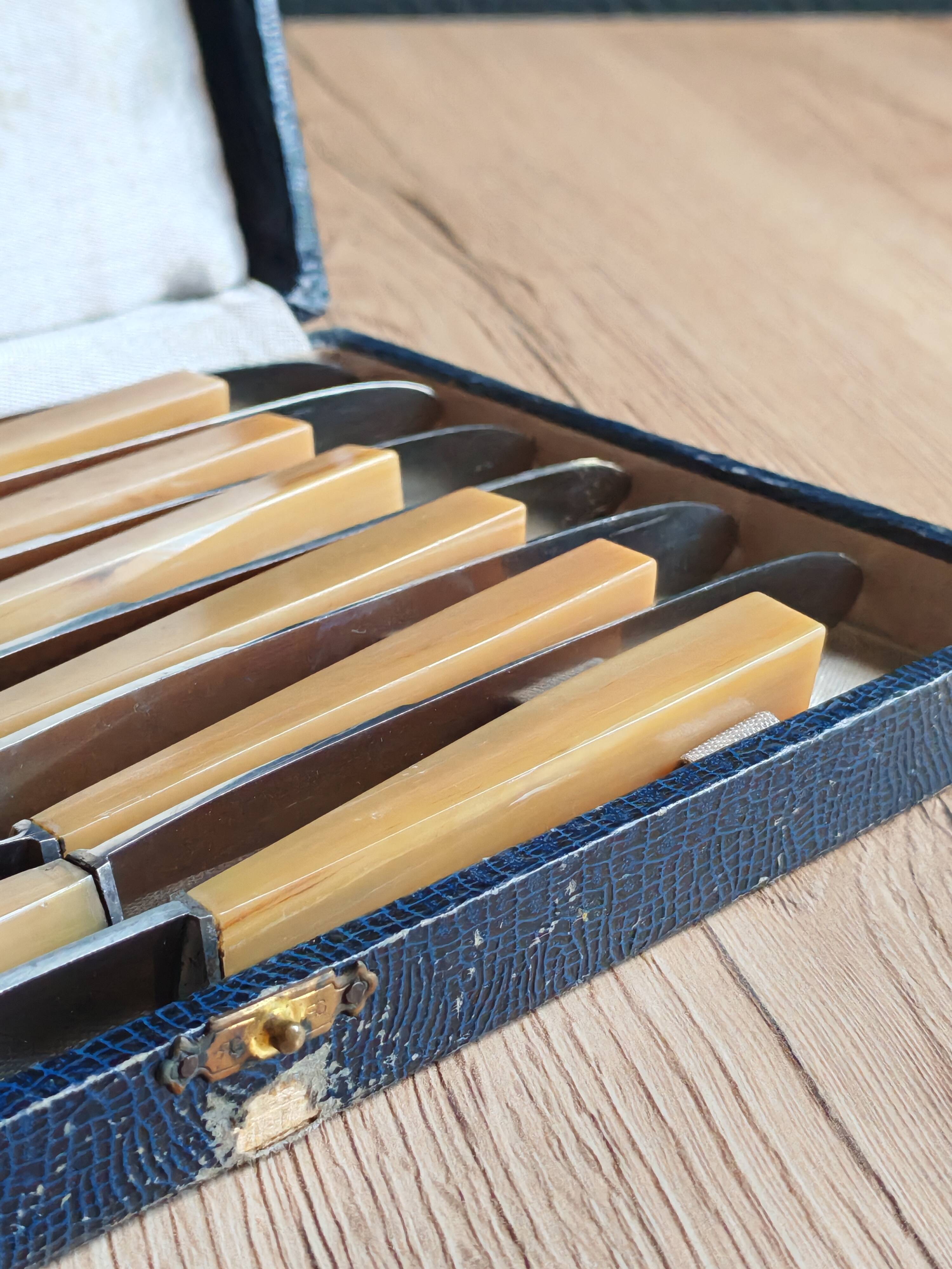 Coffret 12 couteaux de table vintage | Manches bakélite ivoire