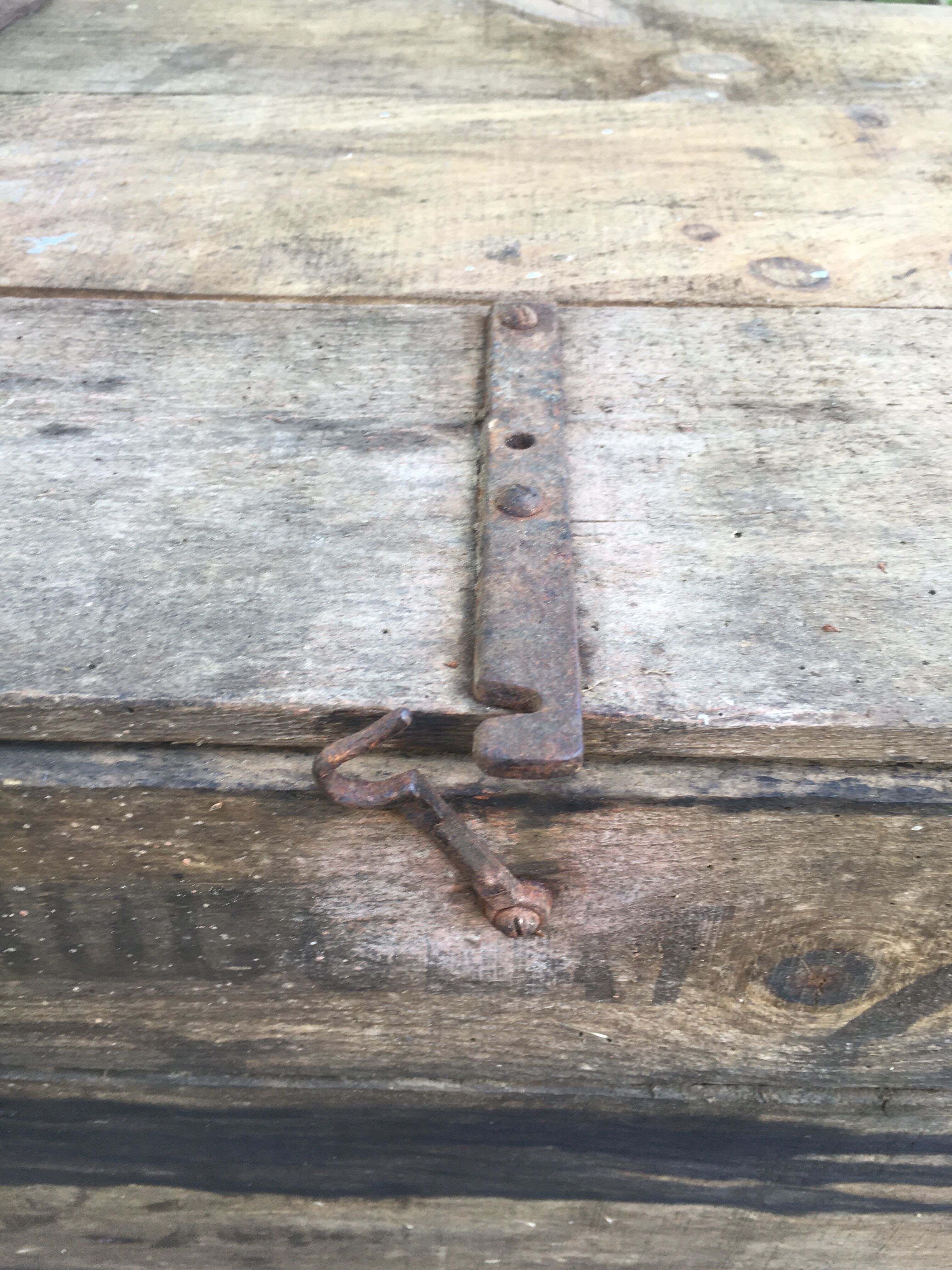 Wooden box Chocolate Foal