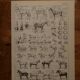 Lithographie originale sur le cheval