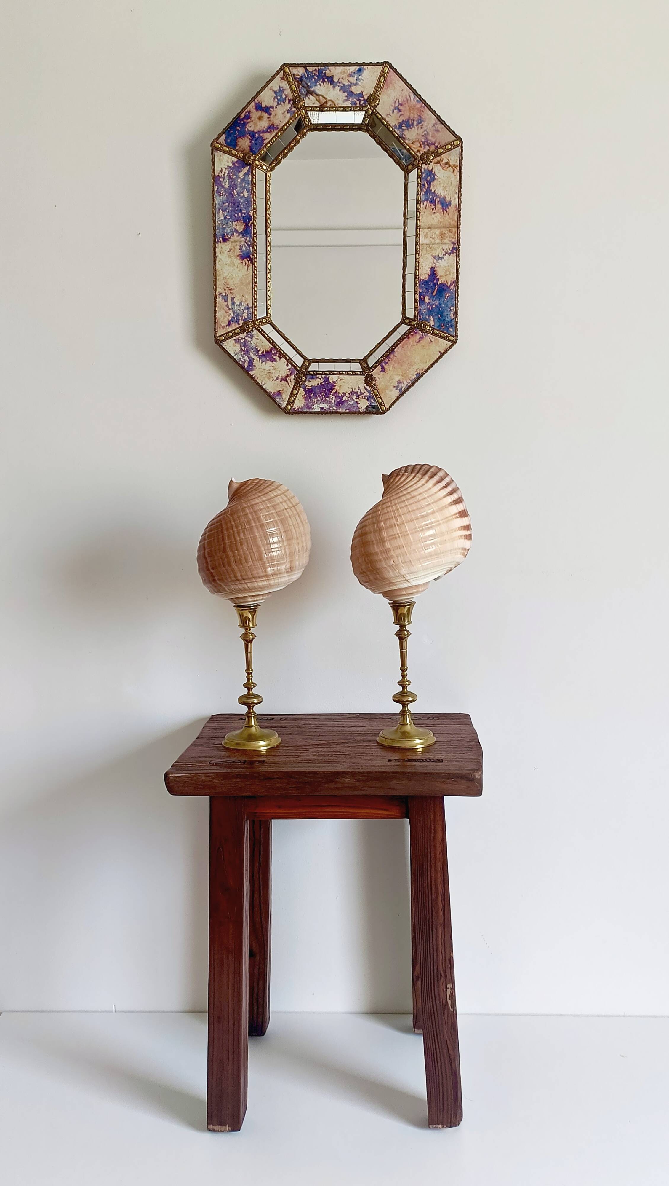 Pair of natural shells on a mid-century Swedish Skultuna brass candelabrum.