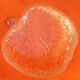 1970s apple-shaped salad bowl tempered glass
