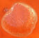 1970s apple-shaped salad bowl tempered glass