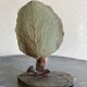 Soliflore terracotta tree and dog