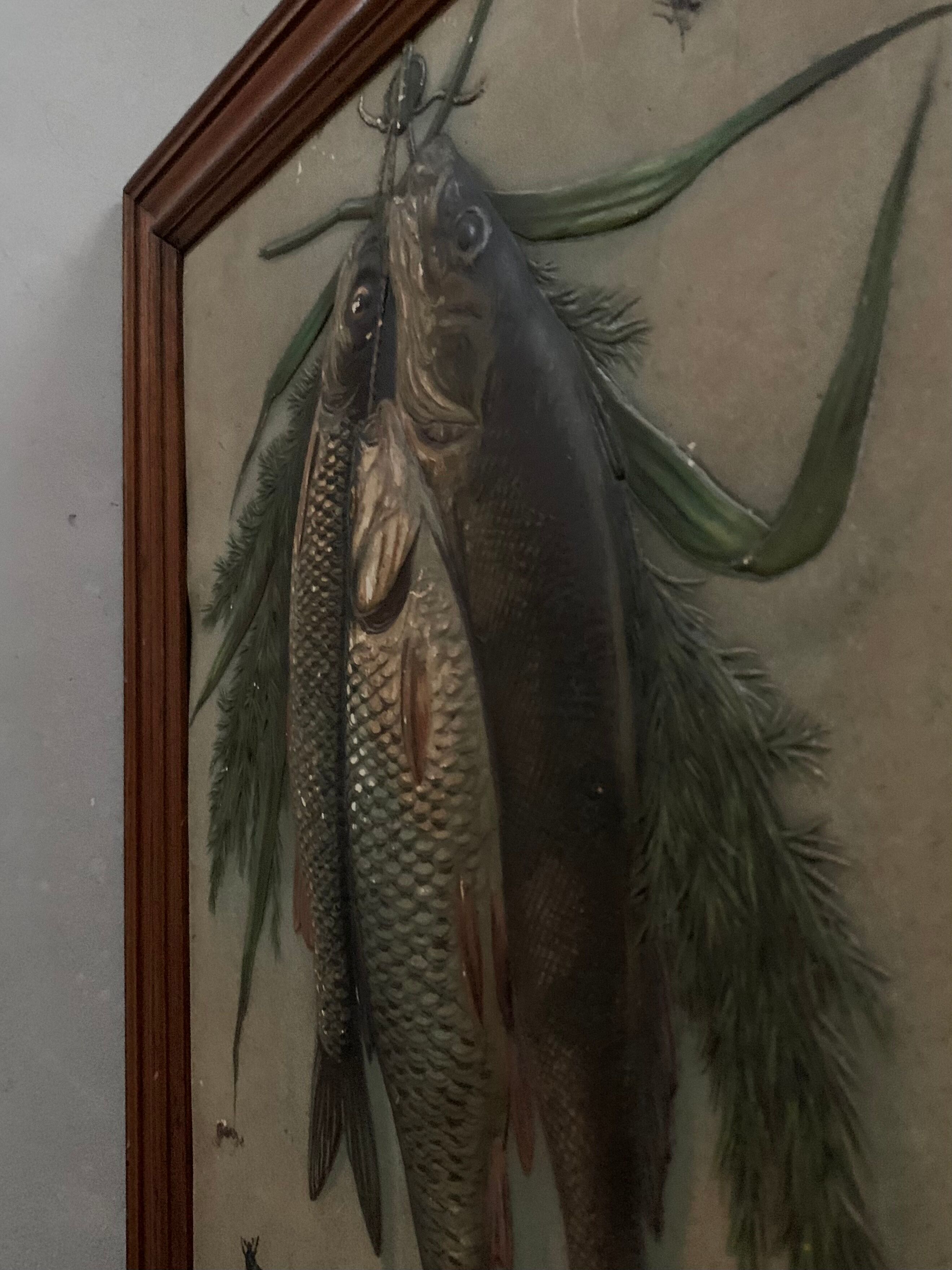 Still life, old fish trophy table