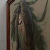 Still life, old fish trophy table