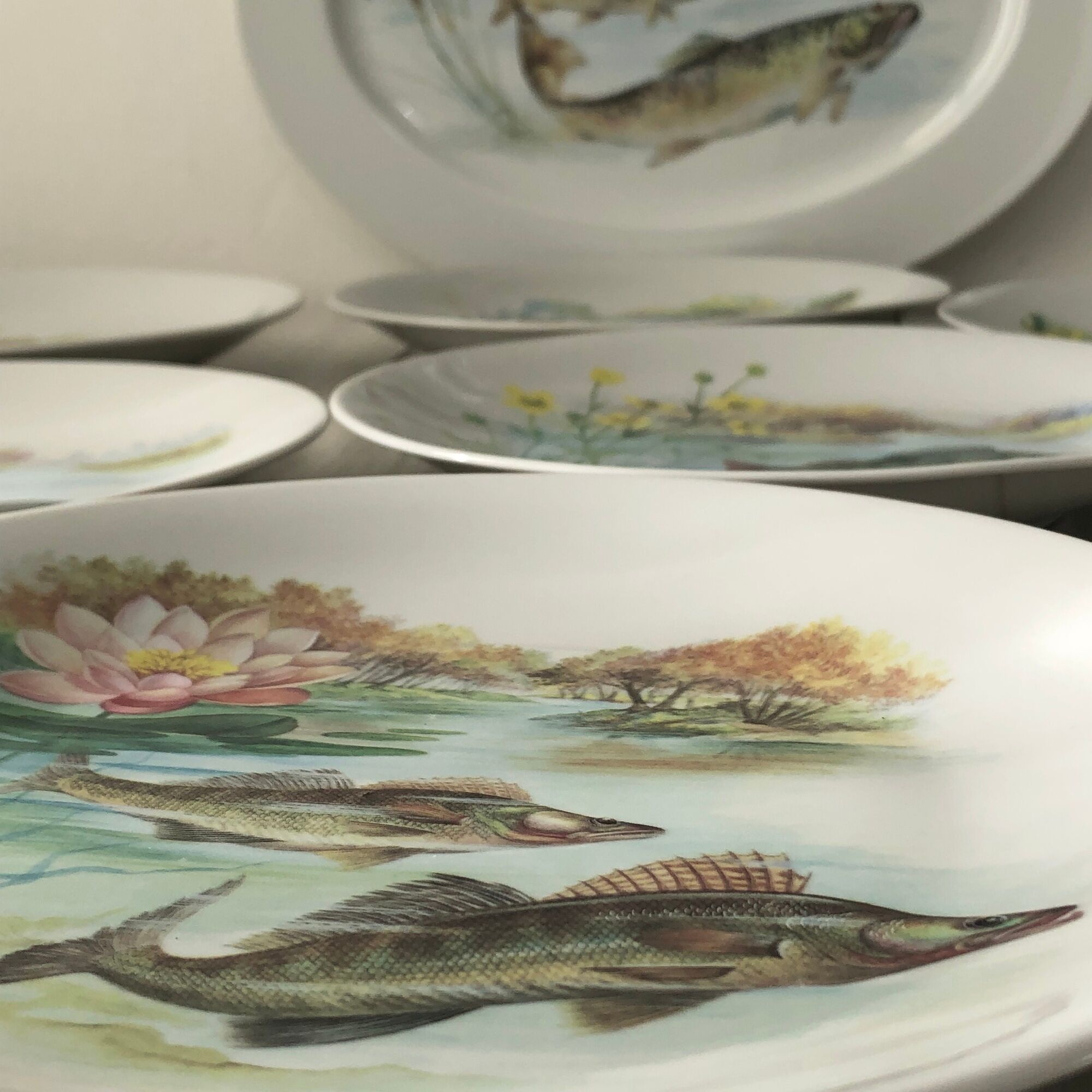 6 plates and 1 fish dish in Limoges porcelain. Freshwater Fish Patterns Service