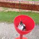 Vintage Red Tole Suspension