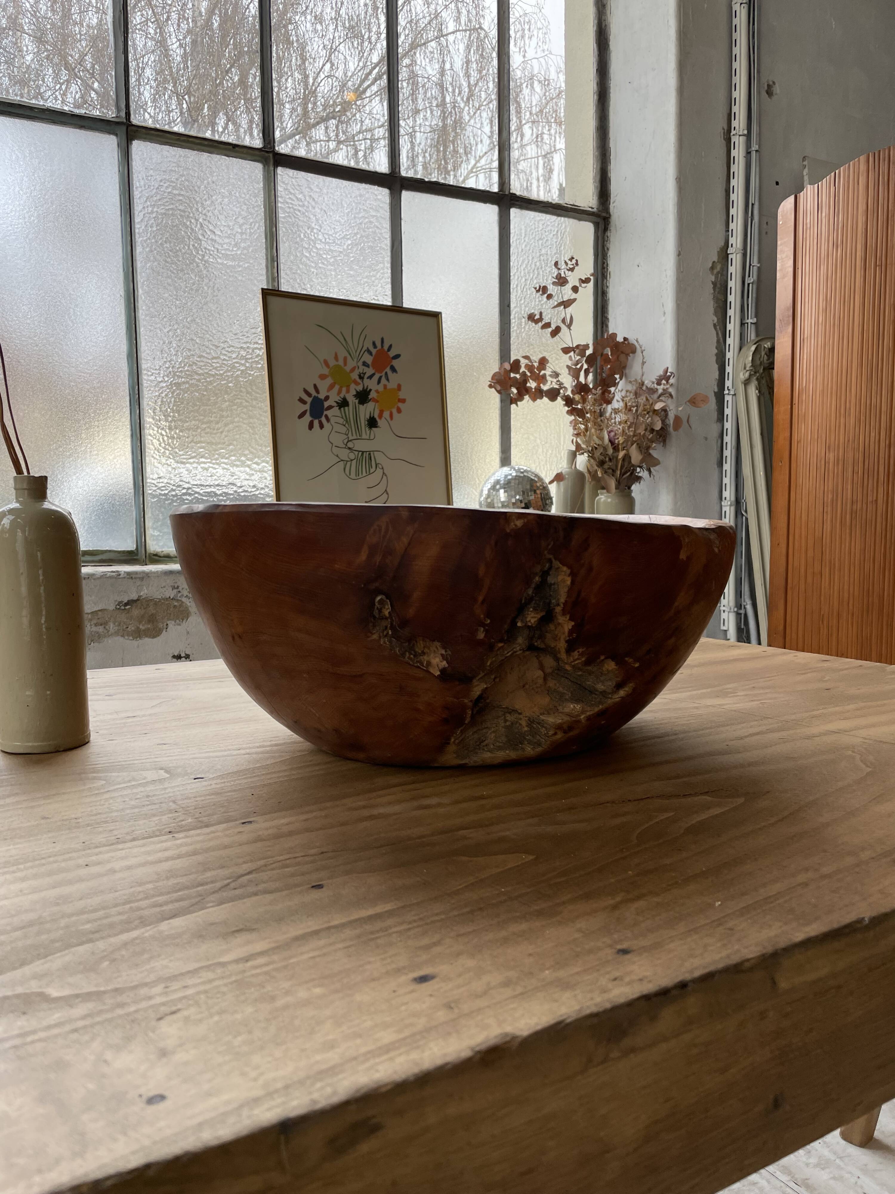 XL thuja root wooden dish