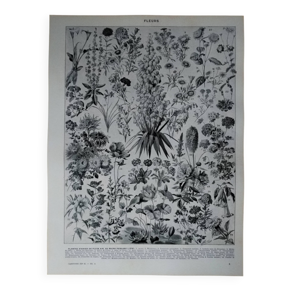 Lithographie originale sur les fleurs — Beyit