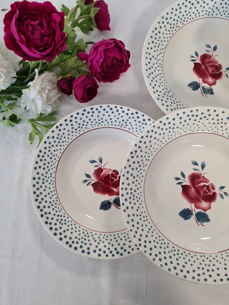 Assiettes creuses anciennes X6 modèle "René" de la manufacture française de Digoin