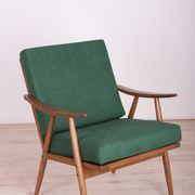 Fauteuil de Ton, années 1960