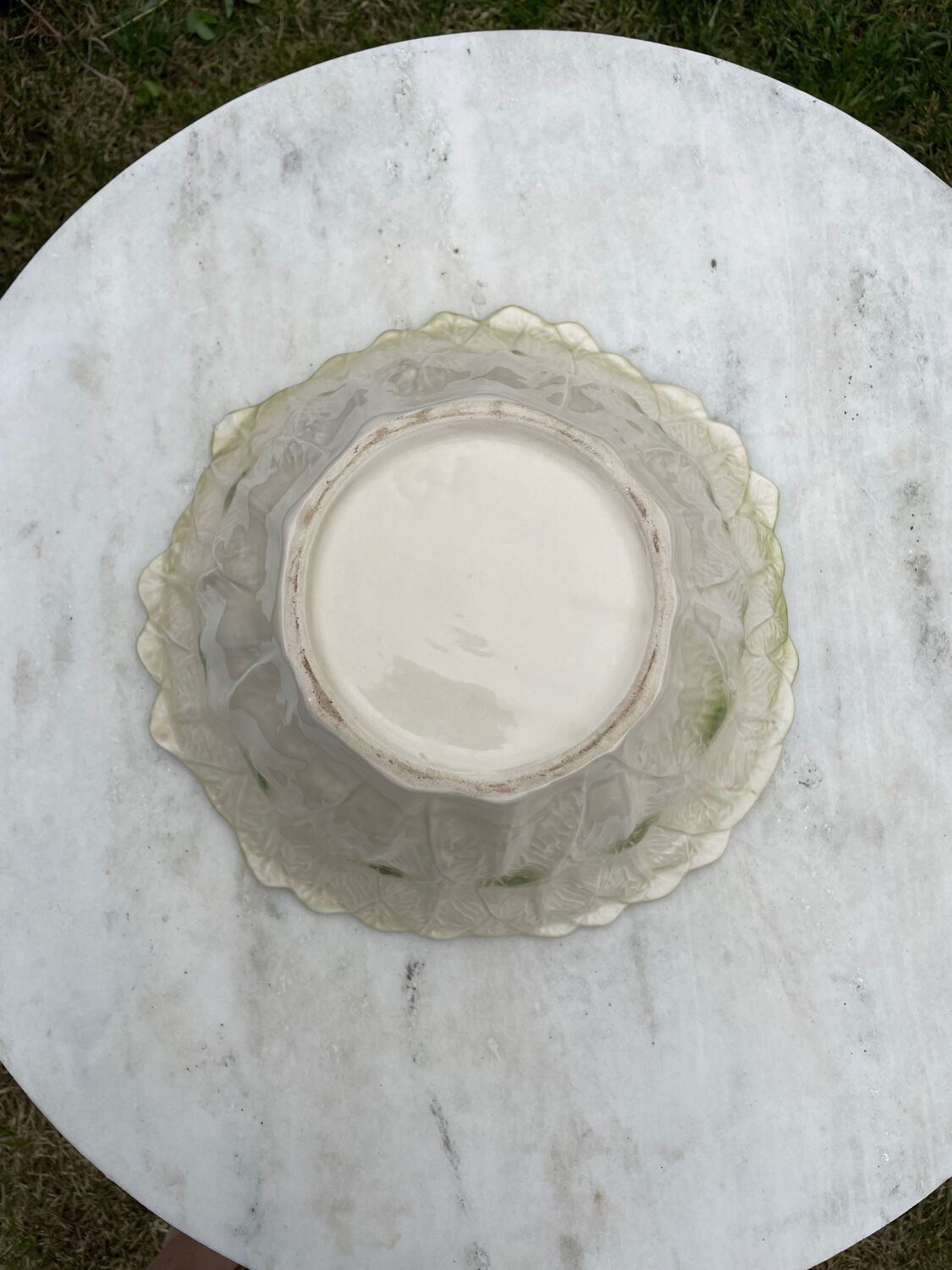 Salad bowl Vintage chicory