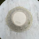 Salad bowl Vintage chicory