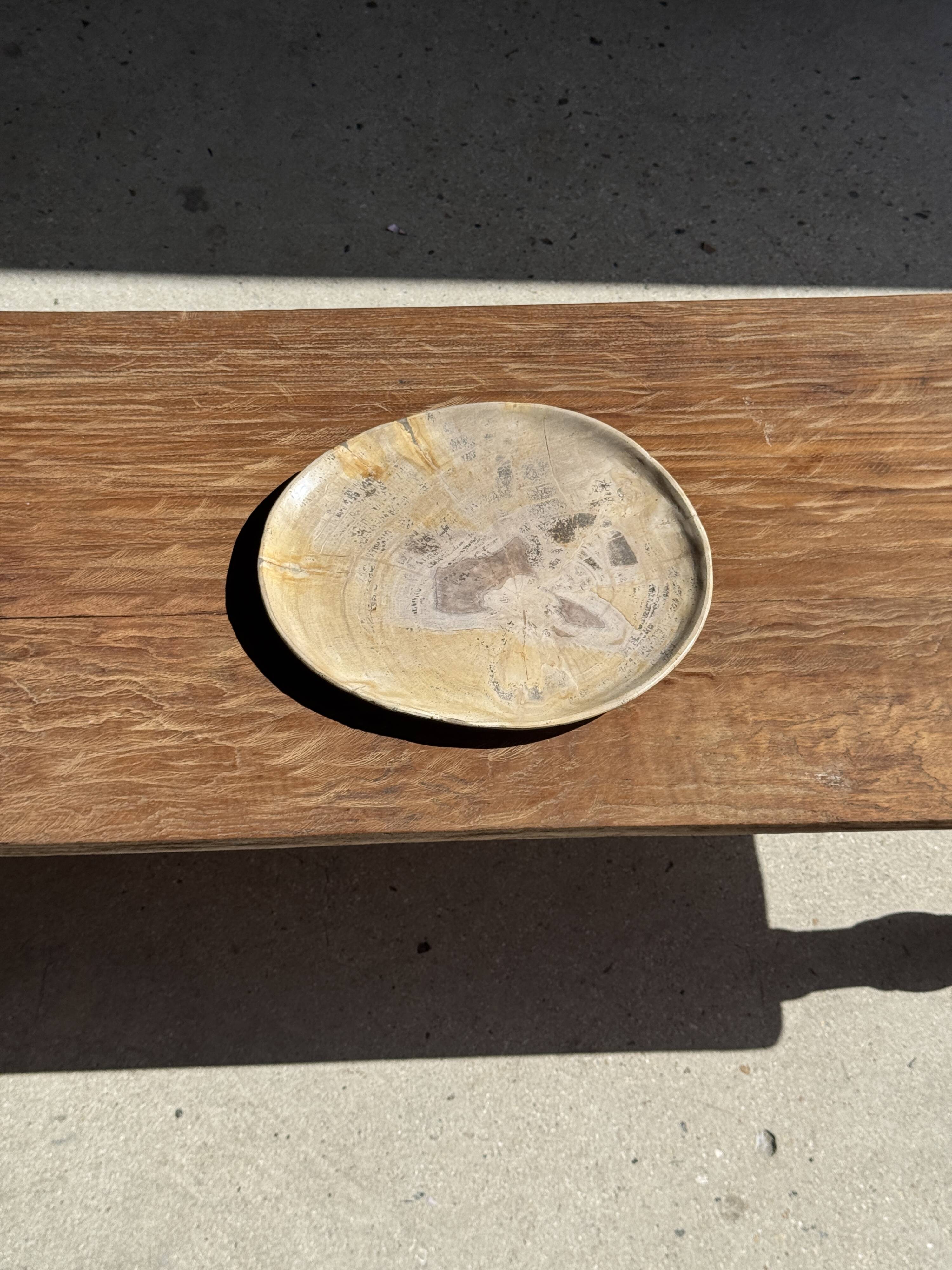 Oval petrified wood dish or bowl with grey edges D28x24 -3779