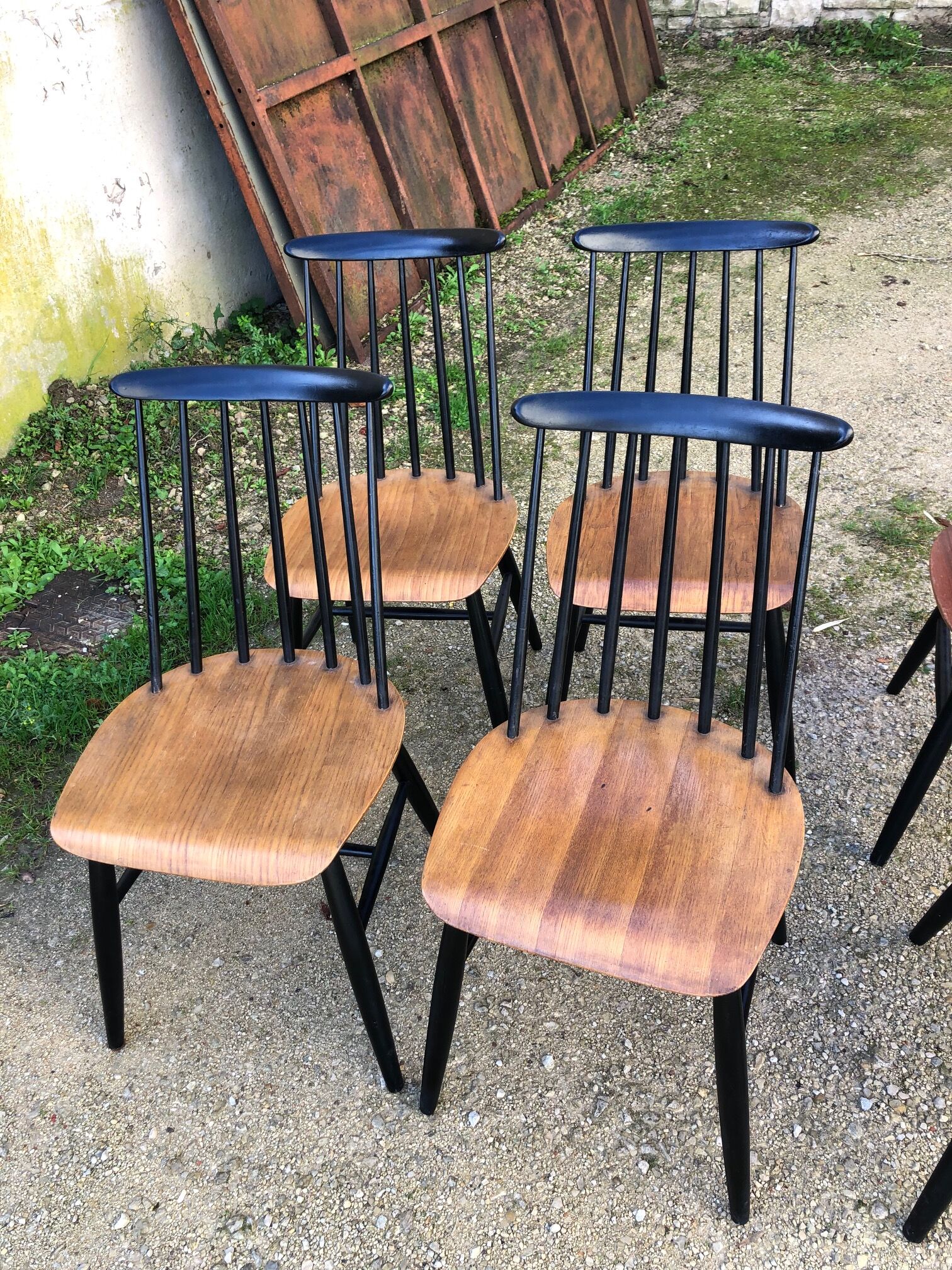 6 chairs fanett by Ilmari Tapiovaara