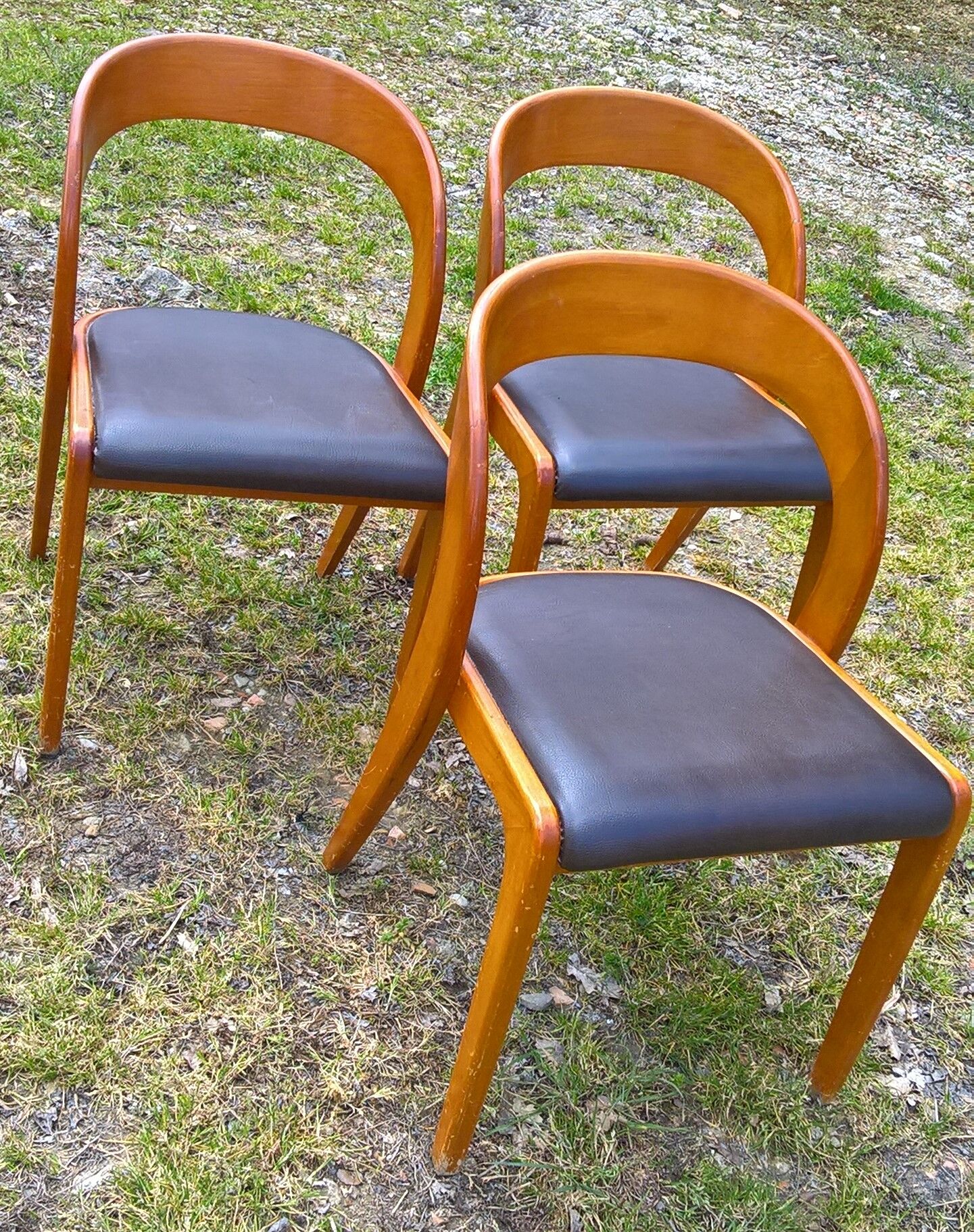 Baumann chairs in leatherette