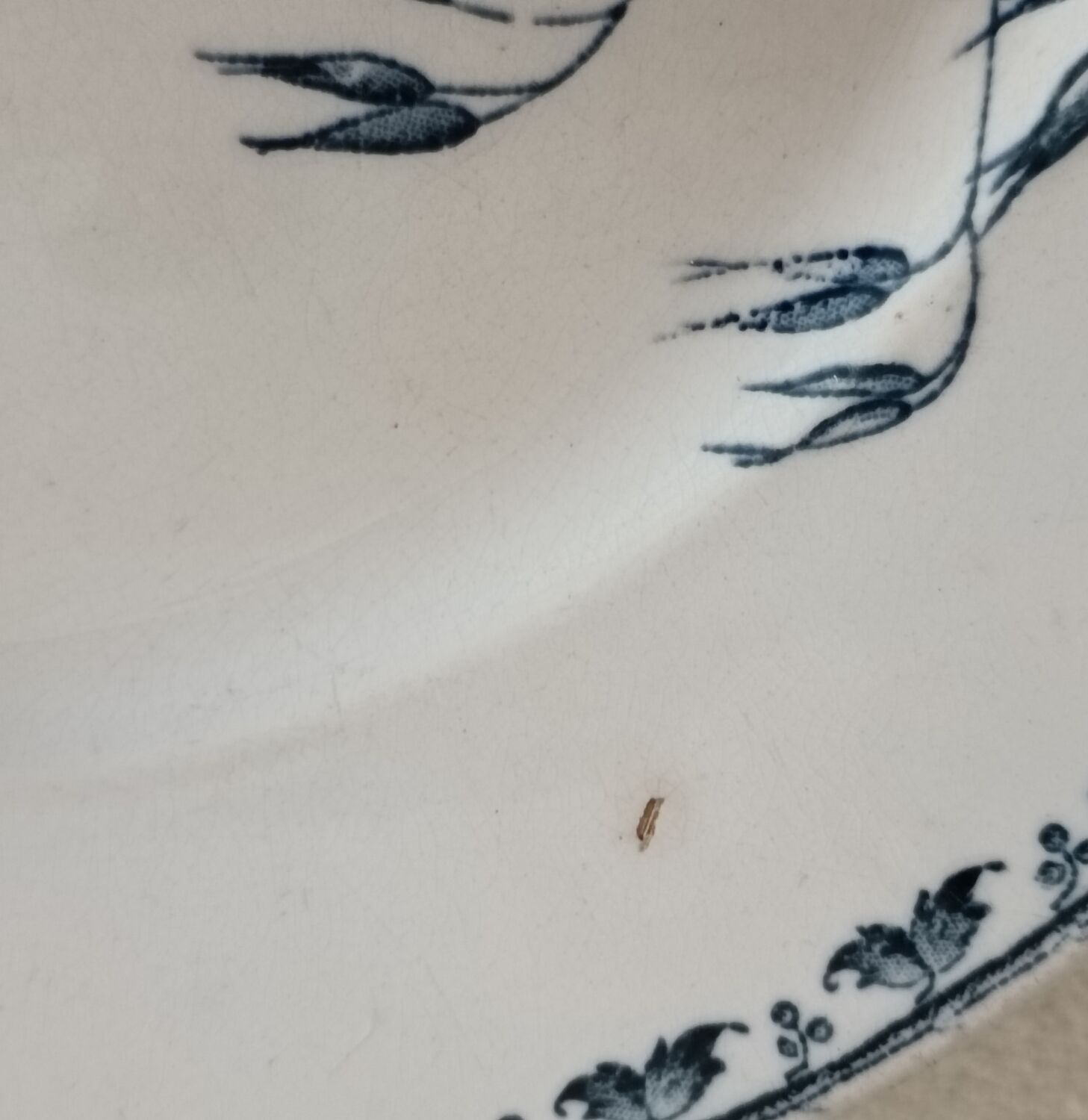 2 plates iron earth Sarreguemines