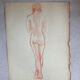 Female nude drawing