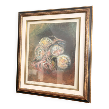 Pastel Drawing Shell Still Life Saint Jacques Fossil Pencil