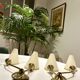 Pair of wall lights - Maison Arlus - Jean Royère style - Vintage