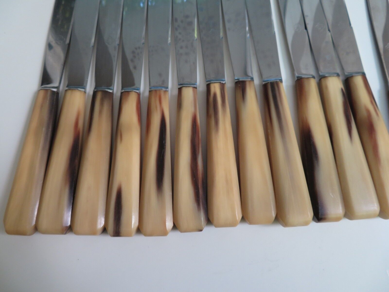 Complete 2-tiered housewife 12 table knives and 12 cheese table knives horn handle
