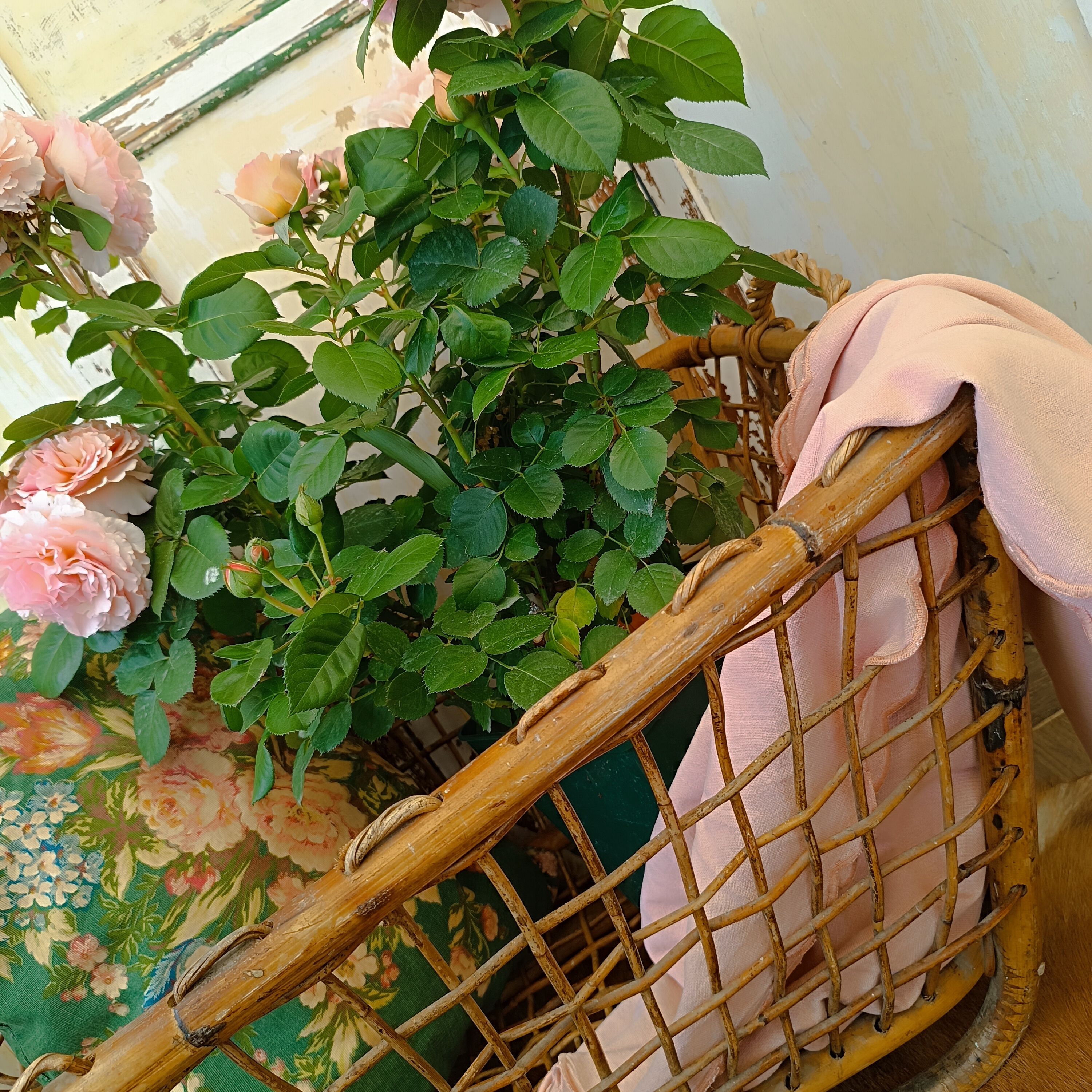 OLD BASKET OR LAUNDRY BASKET