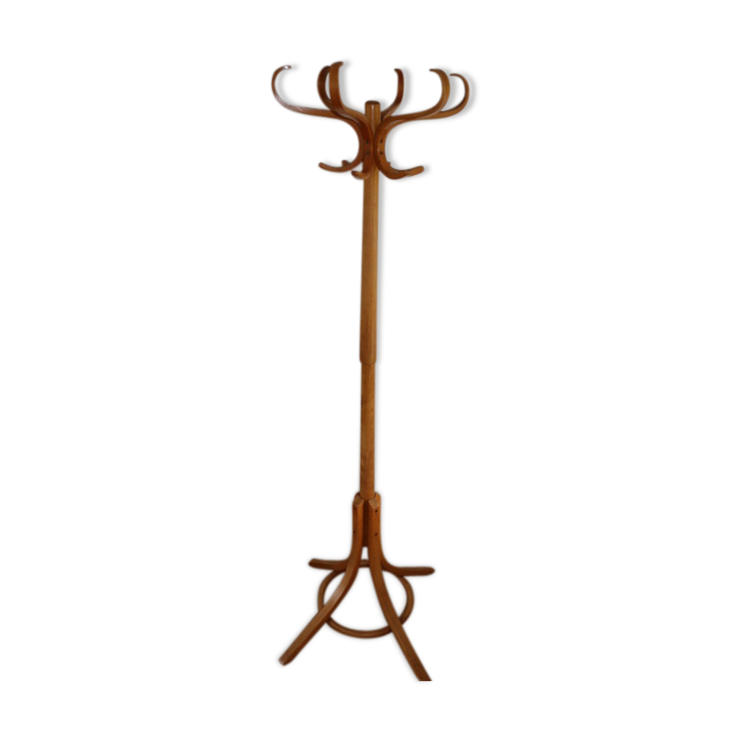 Baumann simple light beech parrot coat holder