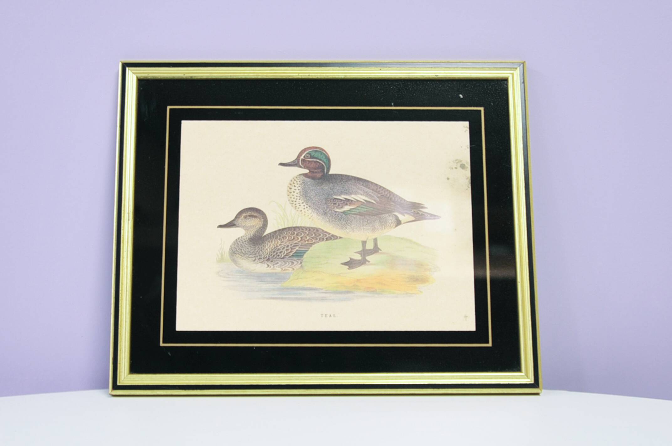 Vintage gold frame with ducks