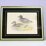 Vintage gold frame with ducks