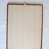 Exotic bird duo setting