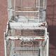 Cage à oiseaux "Fanton, Paris"