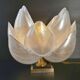 Vintage Rougier lamp 1970