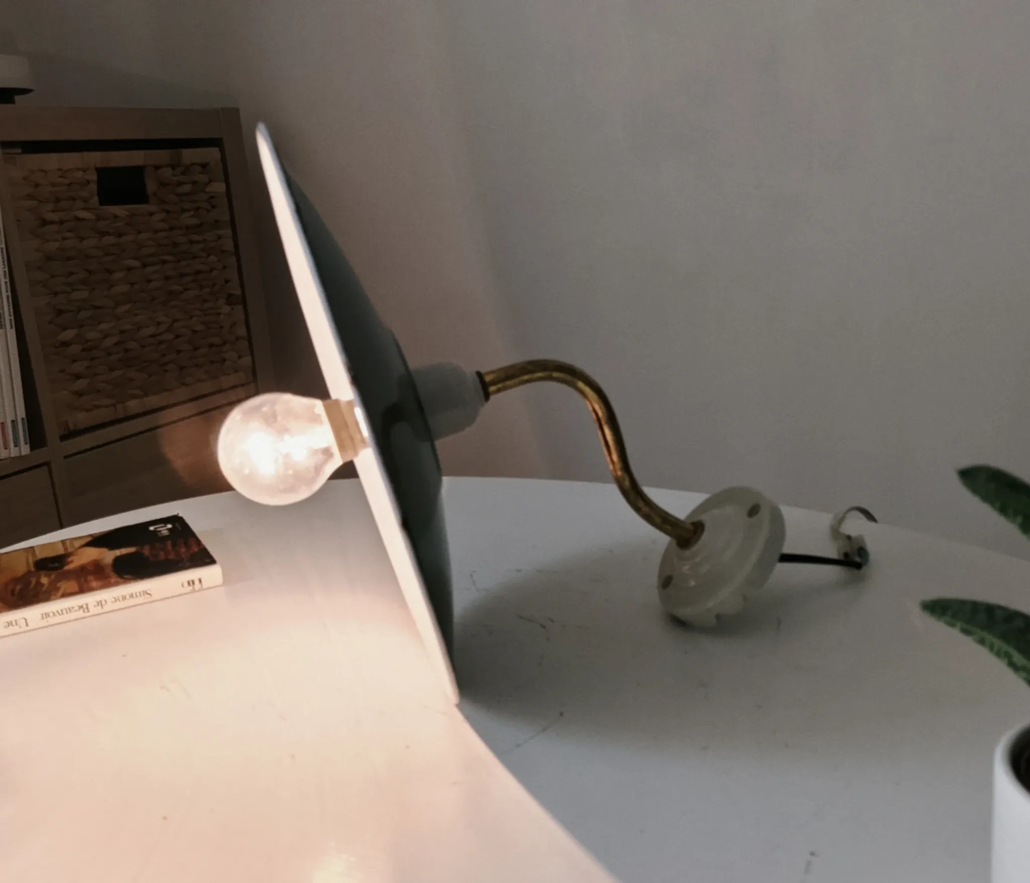 Antique wall light with a swan neck in enamelled metal, porcelain, and brass.