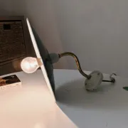 Antique wall light with a swan neck in enamelled metal, porcelain, and brass.