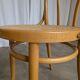 Set of 2 Thonet Style Bentwood Chairs with Cane Seat / Mid-Century Dining F